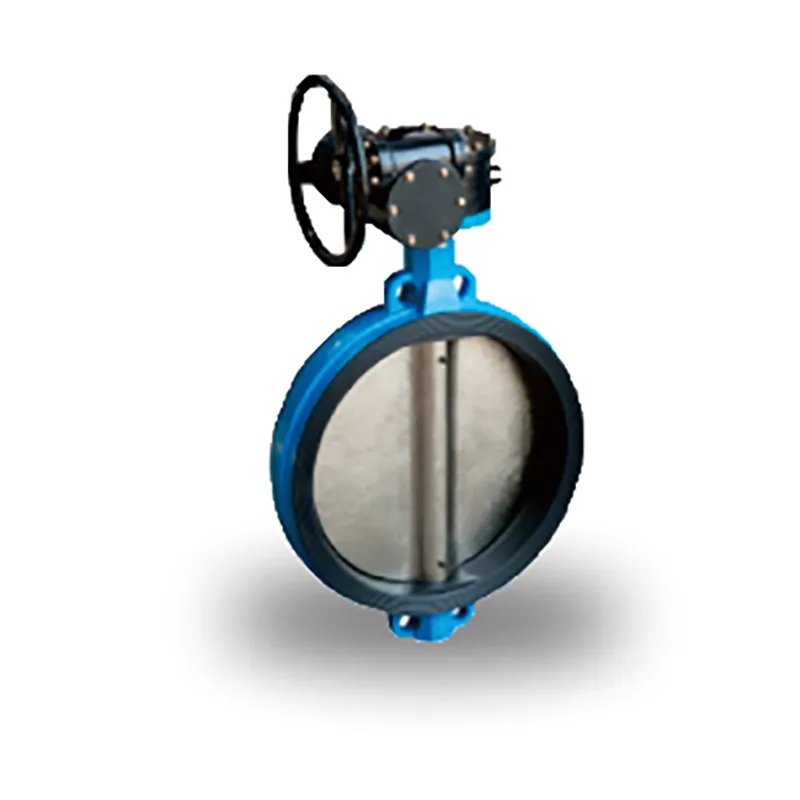 Дисковый затвор (8)