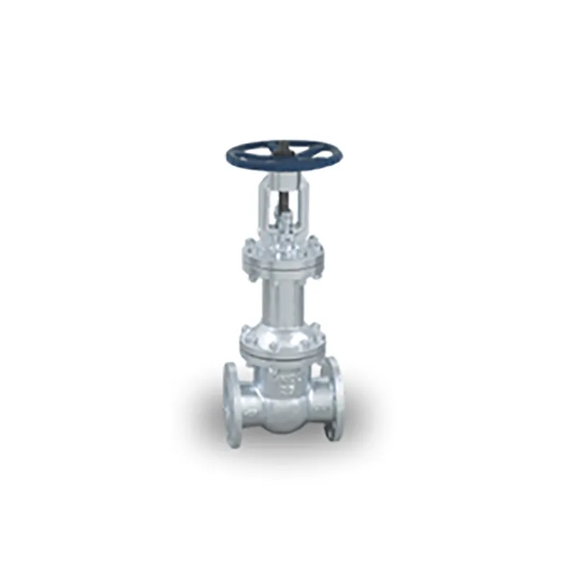 Задвижка (2)