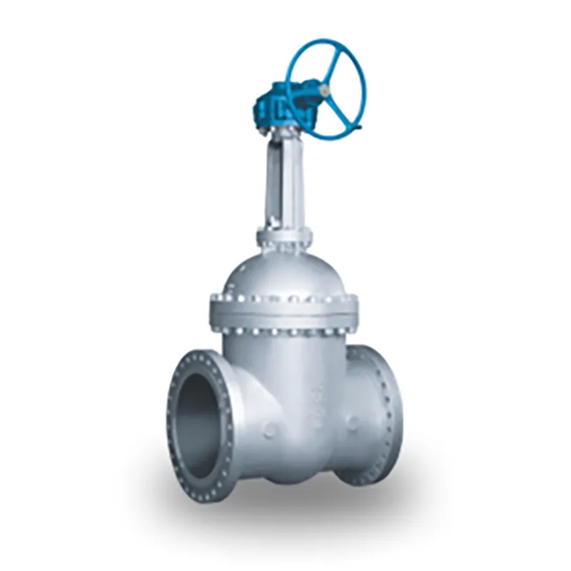 Задвижка (5)