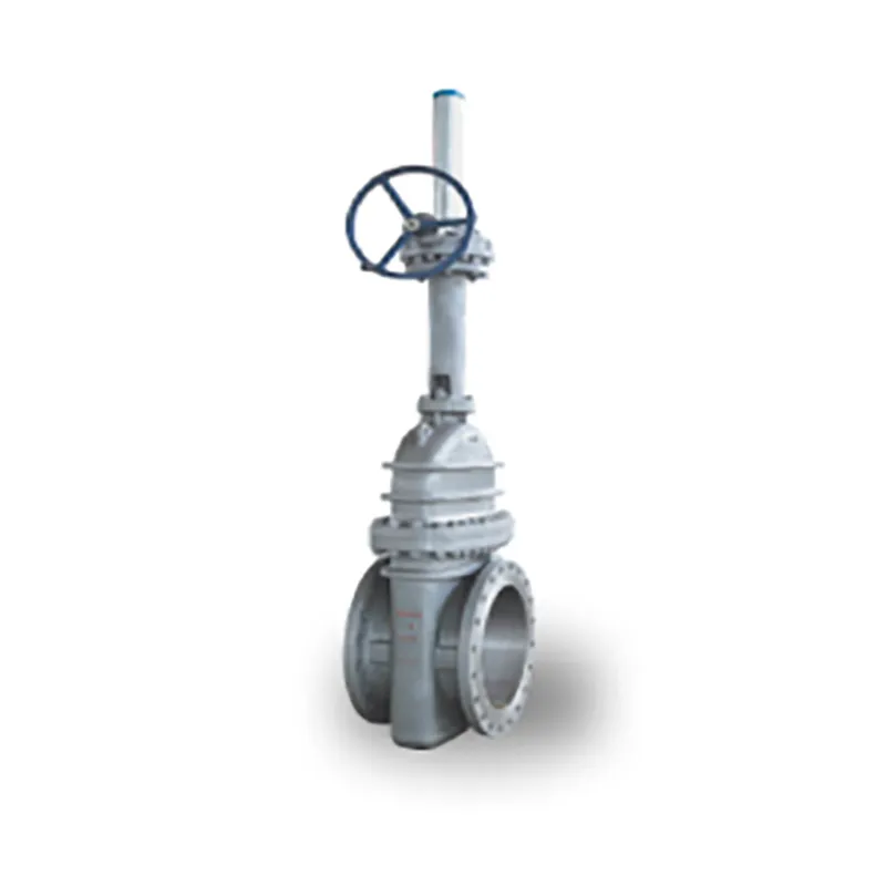 Задвижка (6)