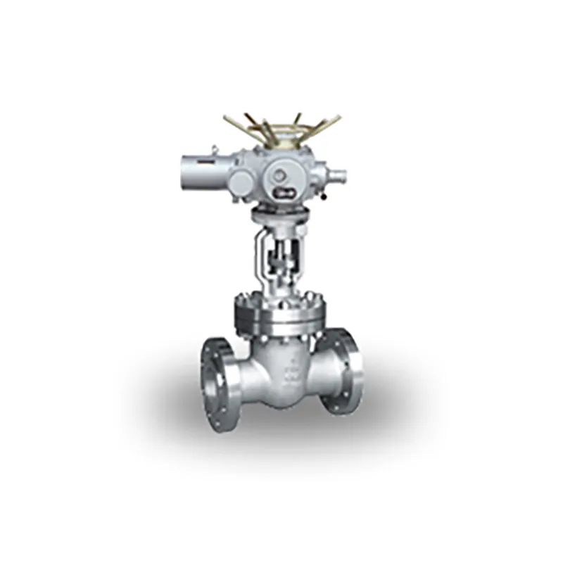 Задвижка (7)