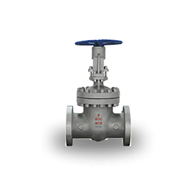 Задвижка (9)