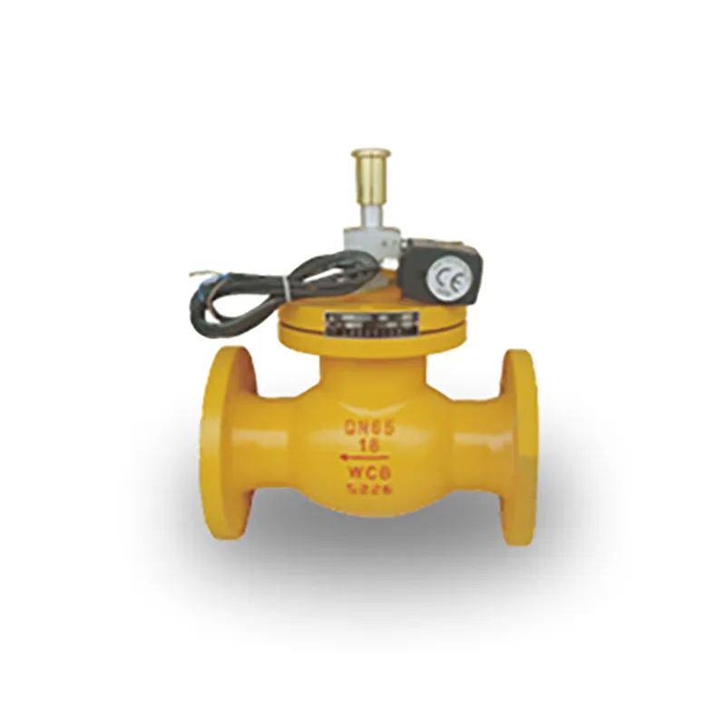 Запорный клапан (10)