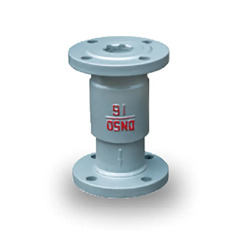 Обратный клапан (11)