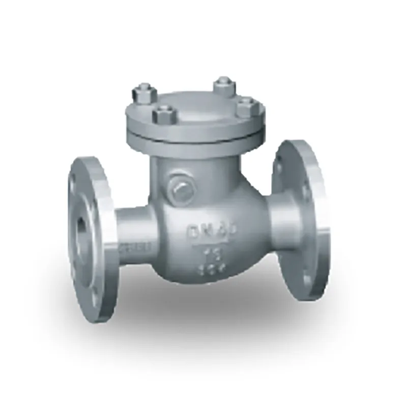 Обратный клапан (4)