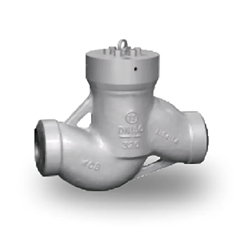 Обратный клапан (9)